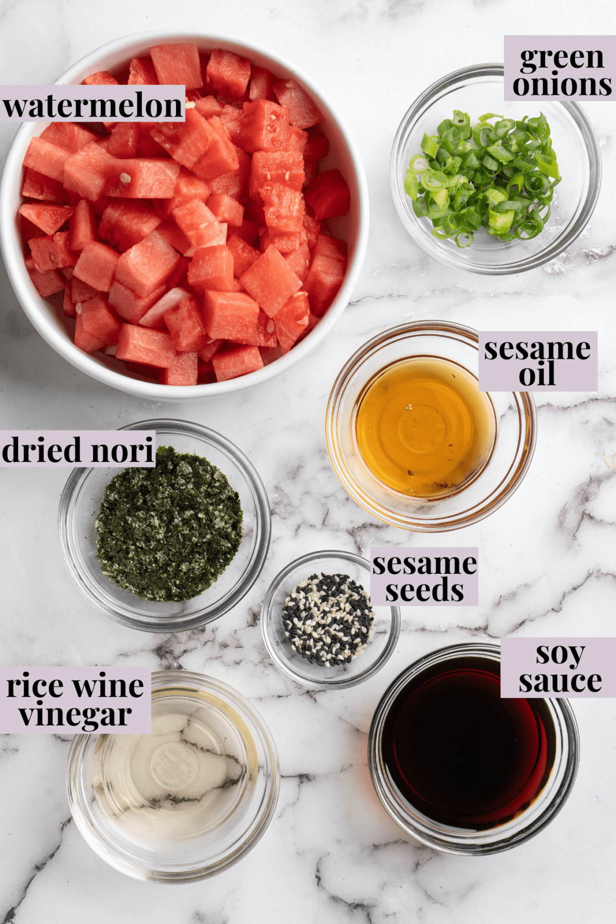 Vegan Watermelon Tuna Jessica in the Kitchen