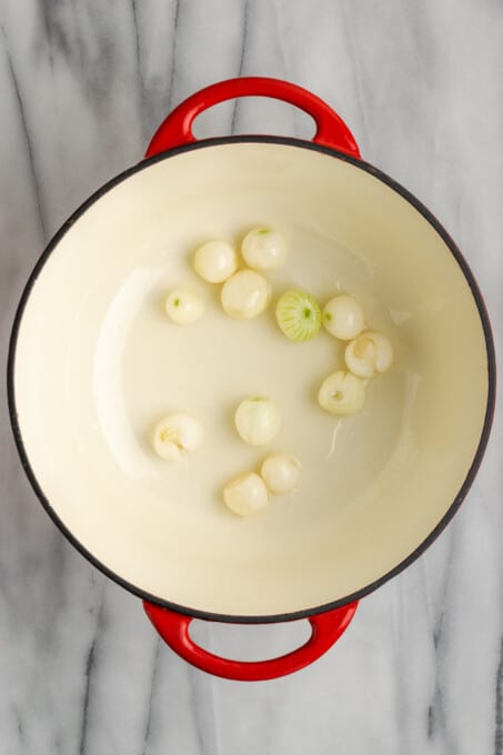 Authentic Sambar | Jessica in the Kitchen