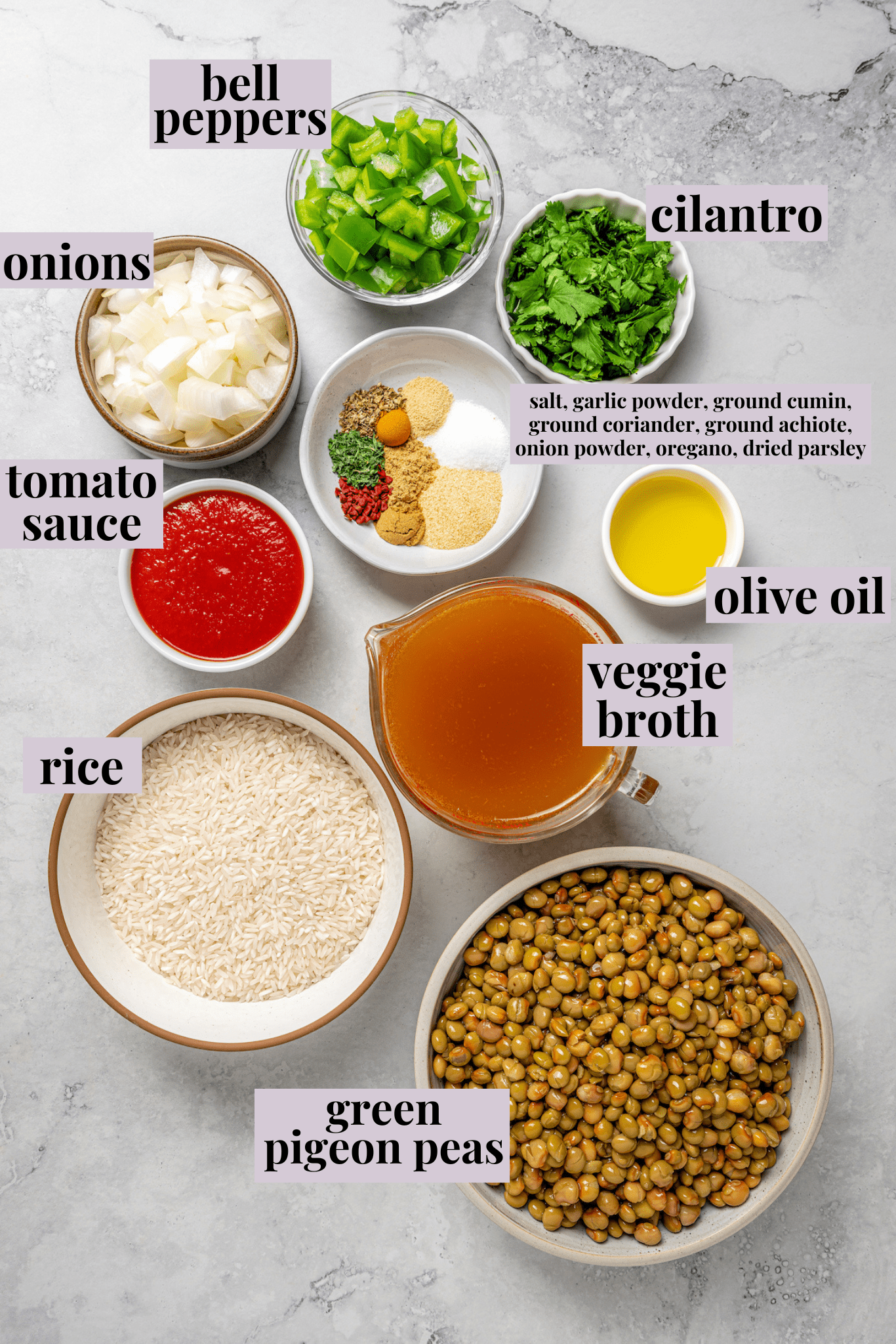 Overhead view of ingredients for vegan Puerto Rican rice and beans with labels