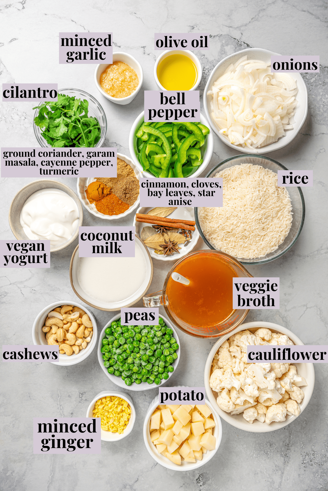 Overhead view of vegetable biryani ingredients with labels