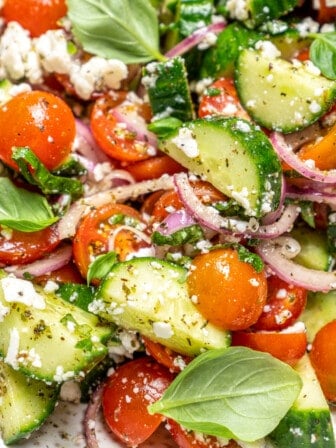 Closeup of cucumber and tomato salad