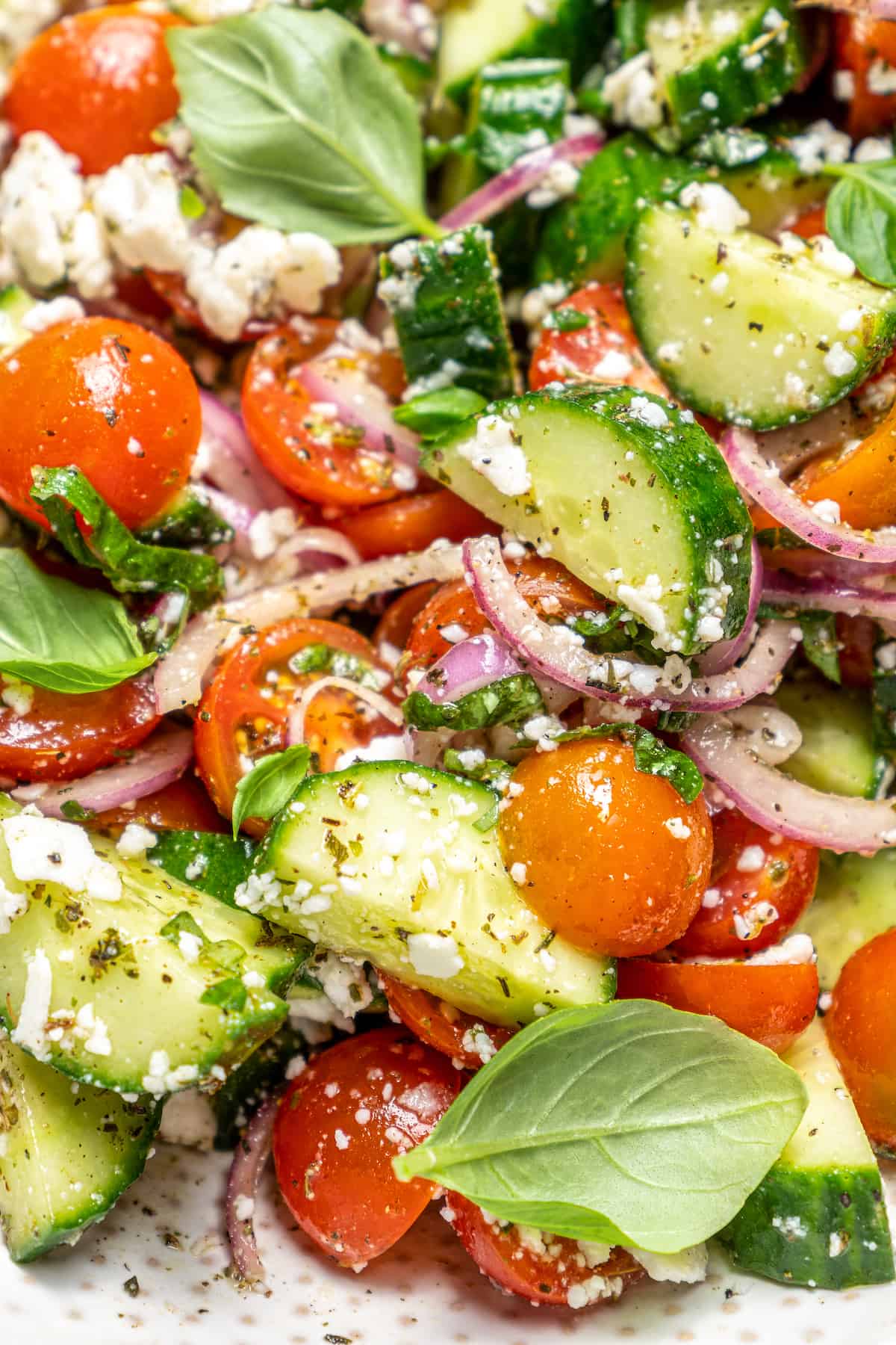 7 Health Benefits of a Plant-Based Diet | Jessica in the Kitchen