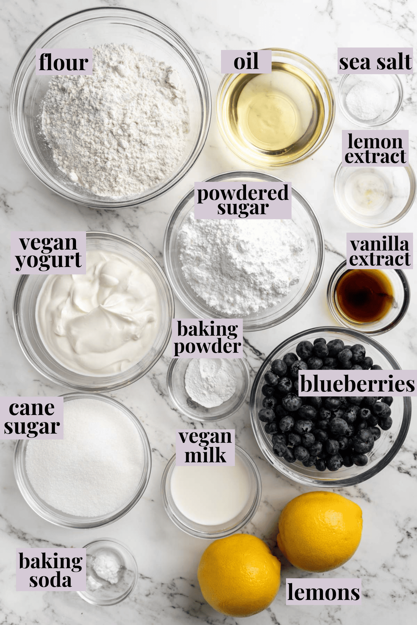 Overhead view of ingredients for vegan lemon blueberry bread with labels