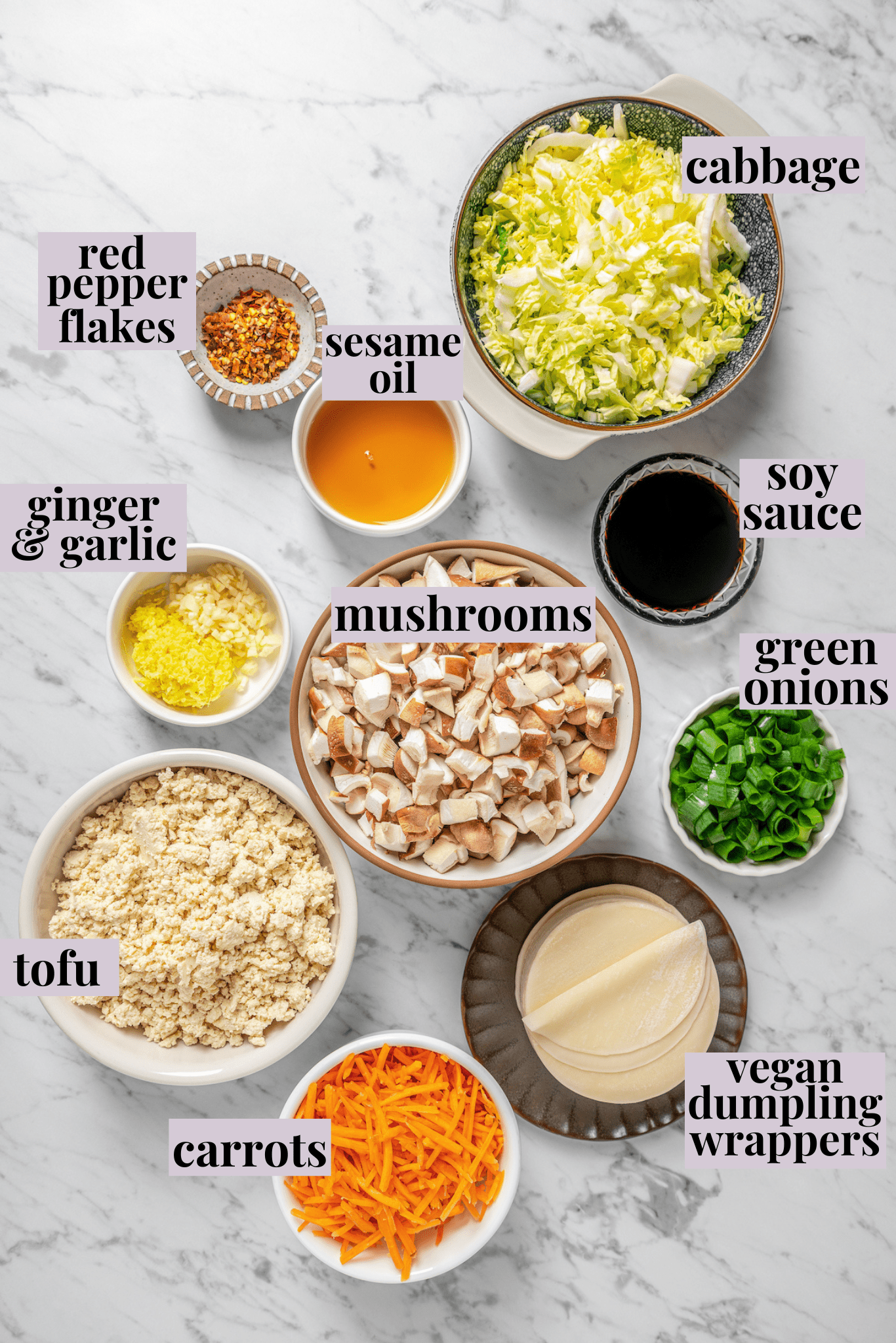 Overhead view of ingredients for vegan dumplings