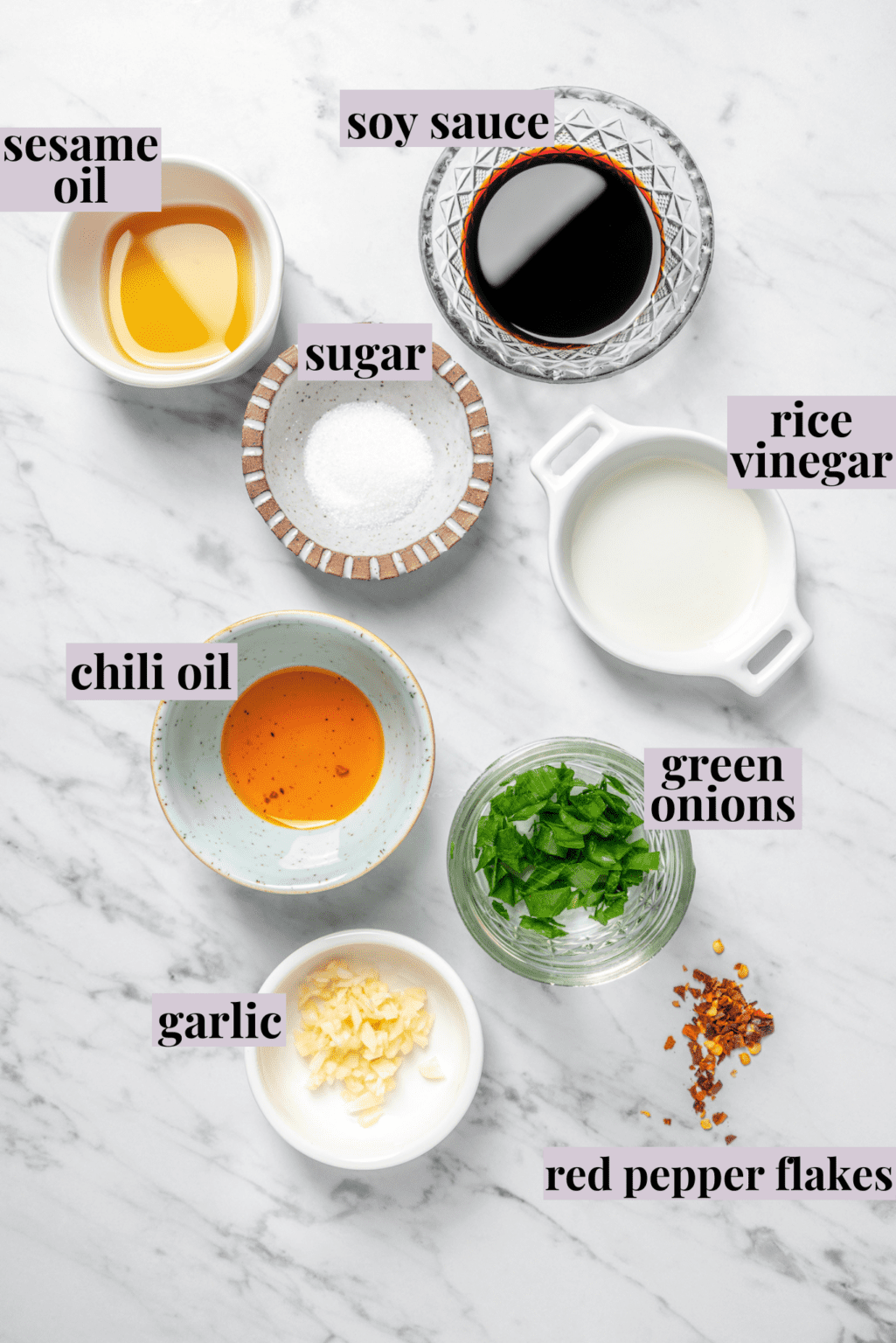 Vegan Dumplings With Dipping Sauce Jessica in the Kitchen