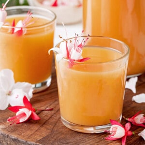 Two juice glasses of POG juice with tropical flowers for garnish