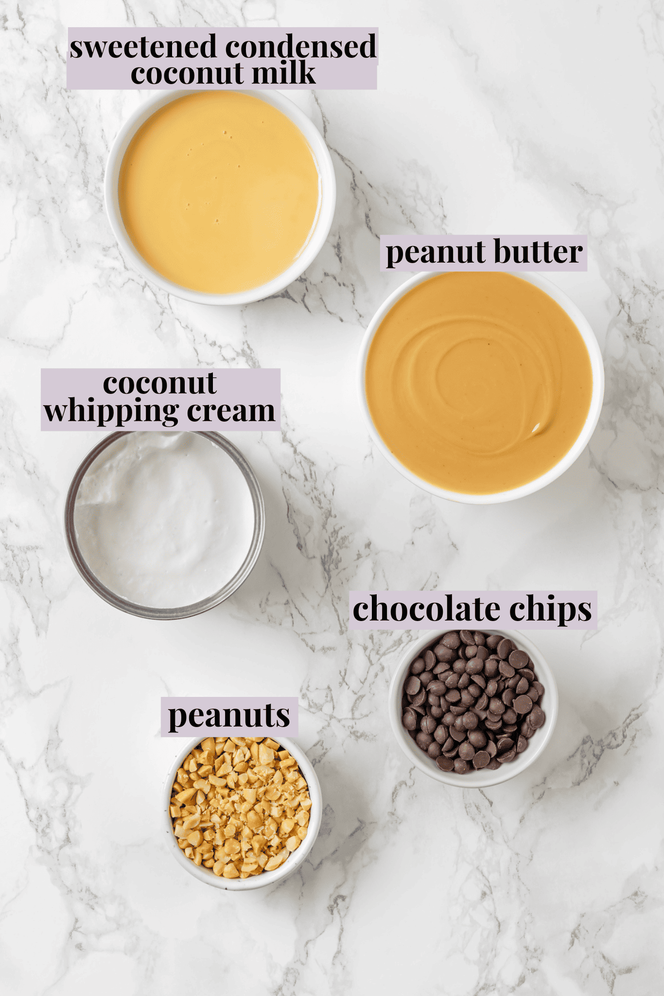 Overhead view of ingredients for peanut butter ice cream with labels