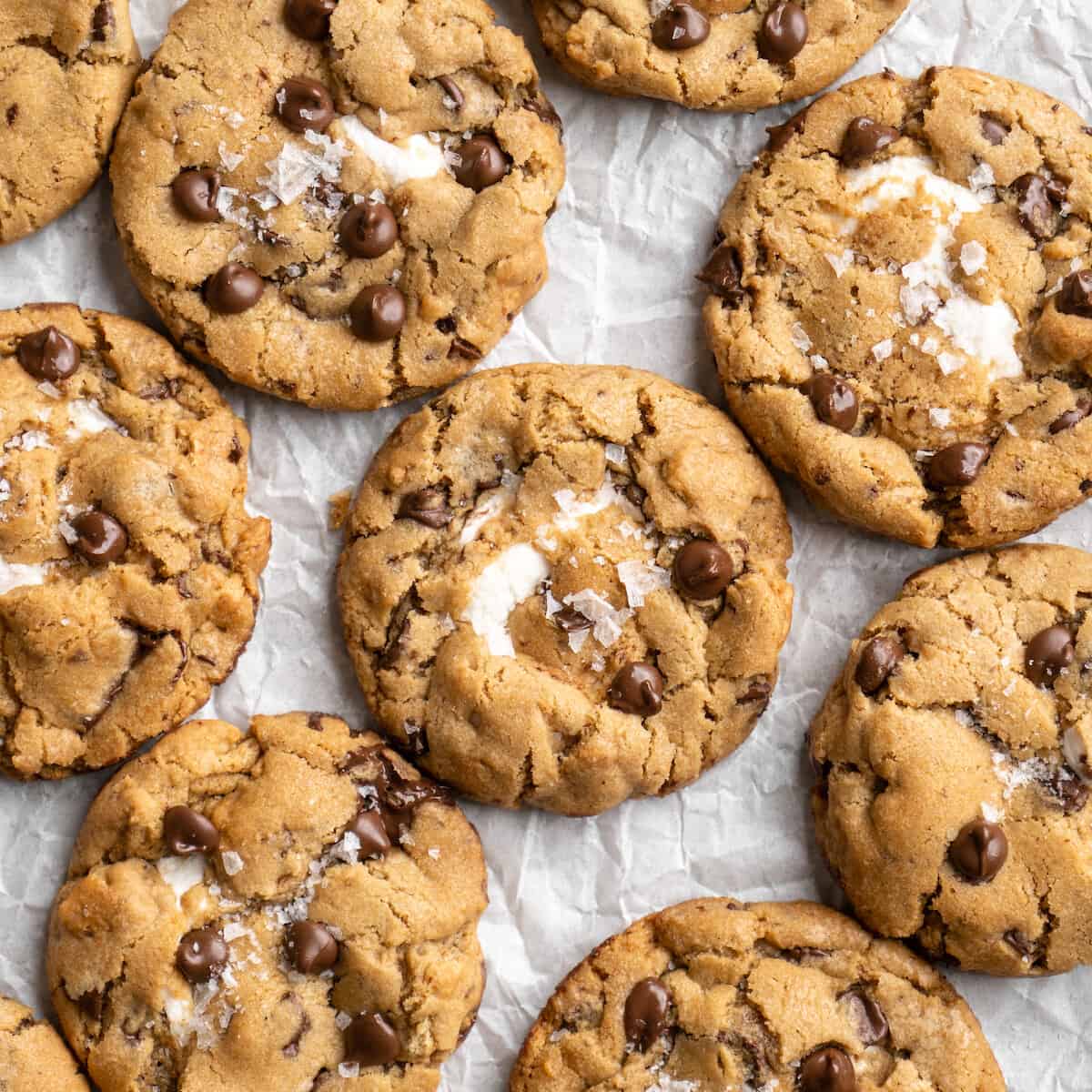 Chewy S'mores Cookies | Jessica in the Kitchen