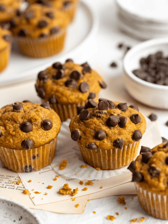 Pumpkin Chocolate Chip Muffins - Jessica in the Kitchen