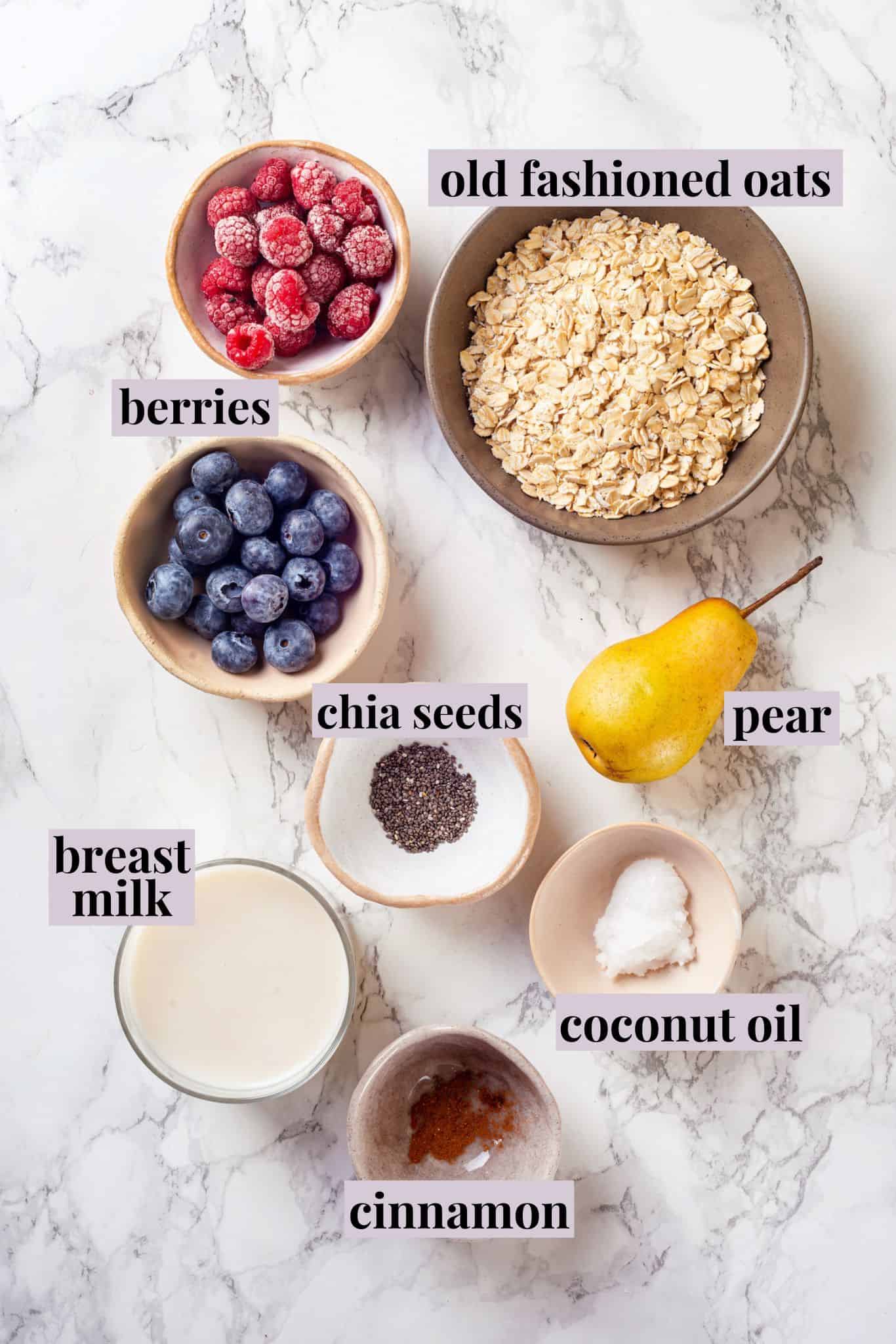 Overhead view of ingredients for baby oatmeal with labels