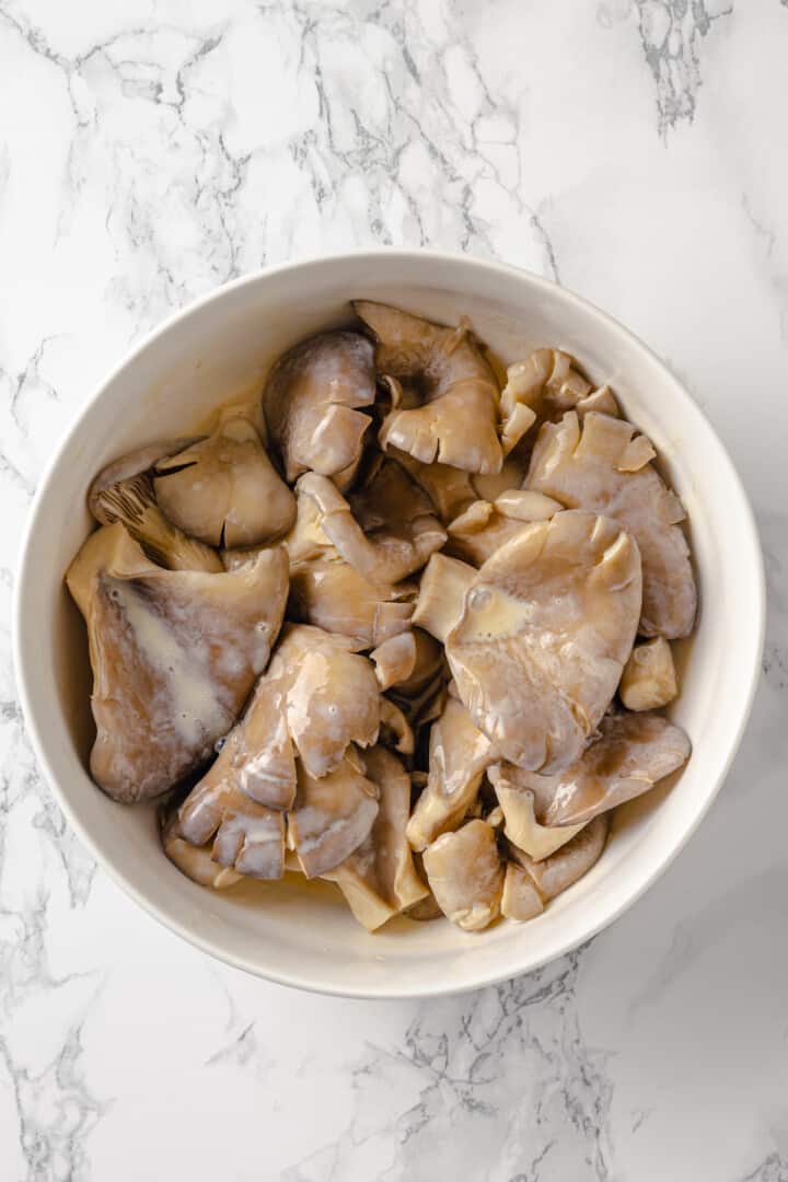 Overhead view of oyster mushrooms being marinated in buttermilk