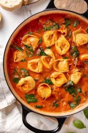 Tomato Tortellini Soup | Jessica in the Kitchen