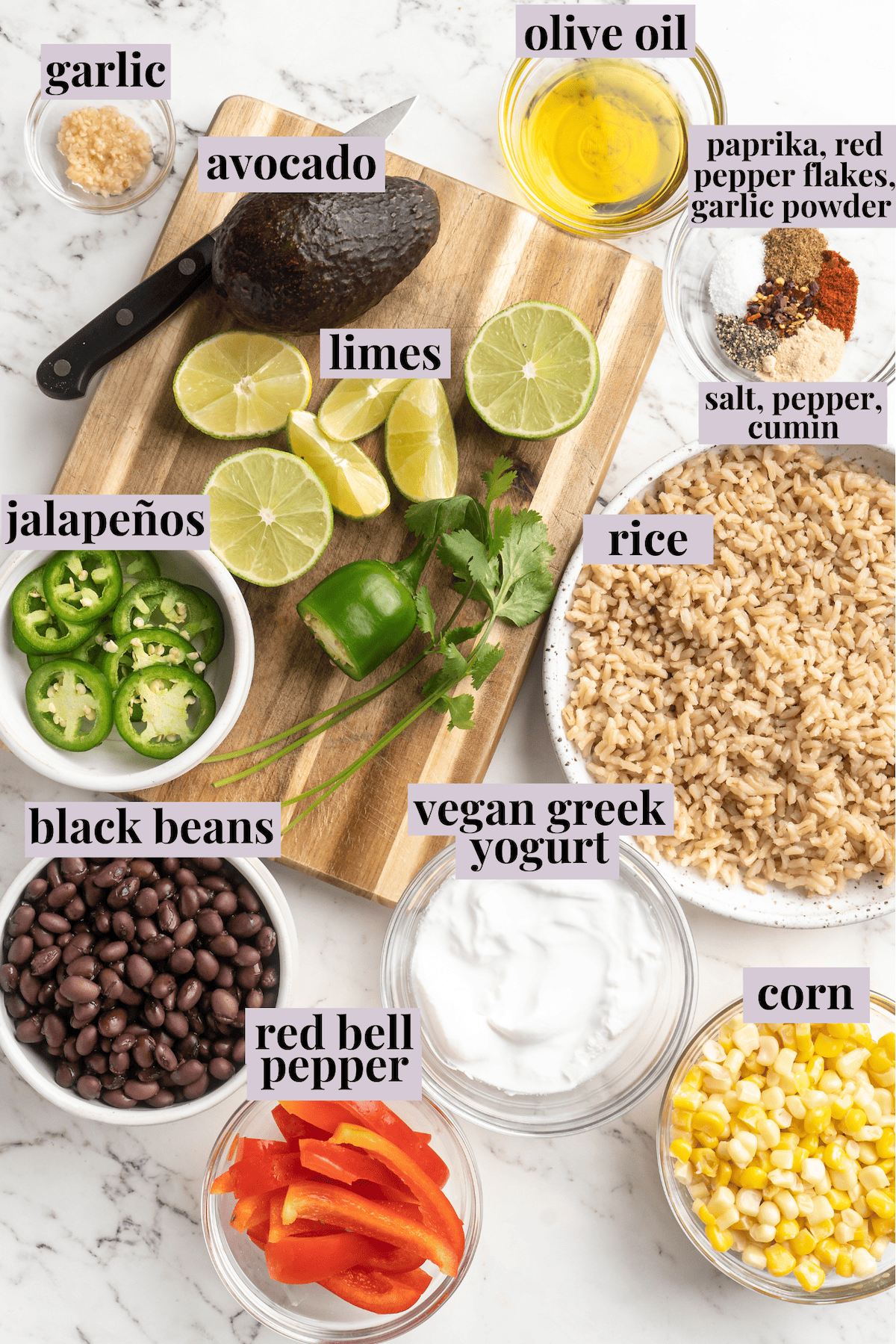 Overhead view of ingredients for vegan burrito bowls with labels