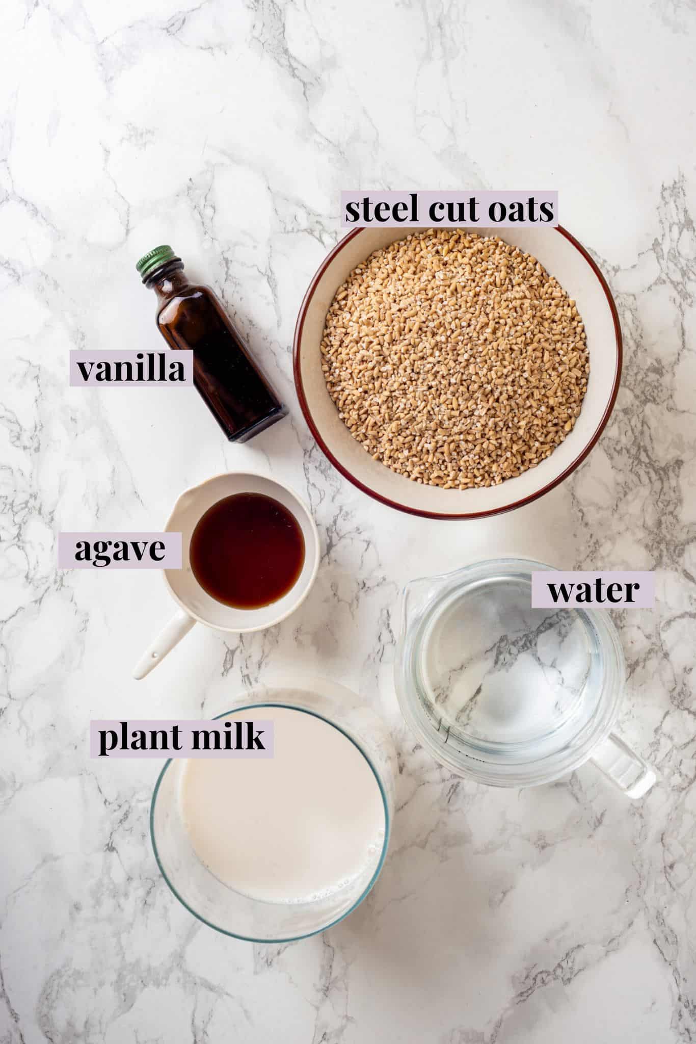 Overhead view of ingredients for Instant Pot steel-cut oats