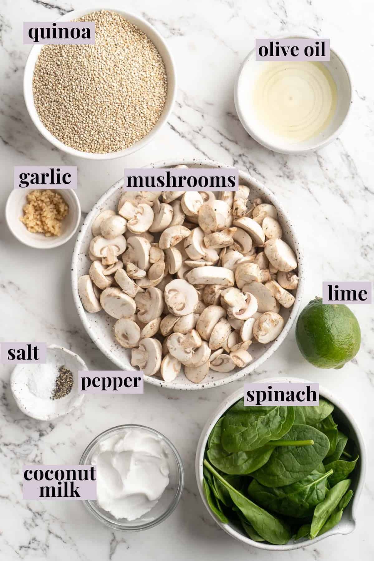 Overhead view of ingredients for coconut creamy spinach and mushroom quinoa with labels