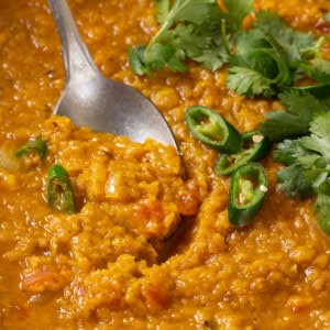 Closeup of red lentil dal with spoon