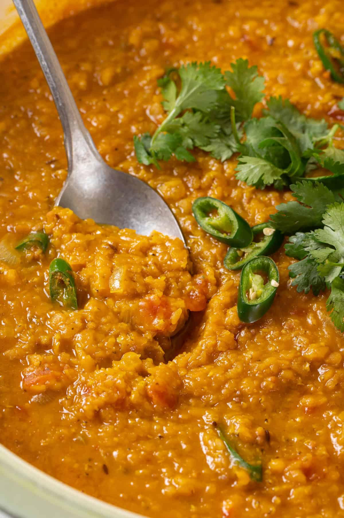 Red Lentil Dal