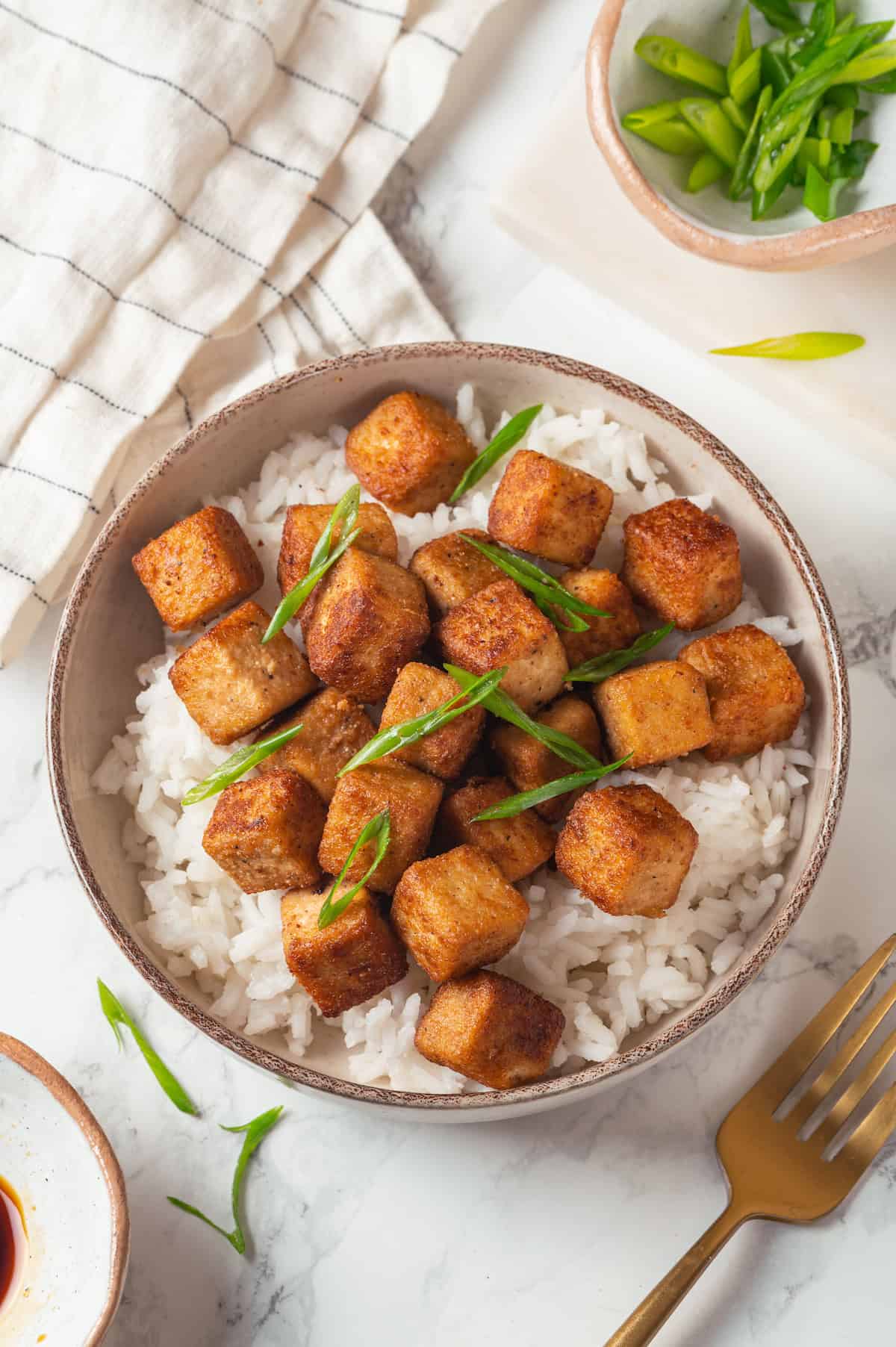 Overhead view of fried tofu in bowl of rice