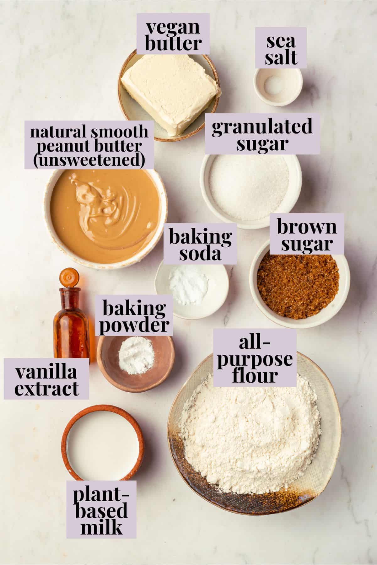 Overhead view of ingredients for peanut butter cookies with labels