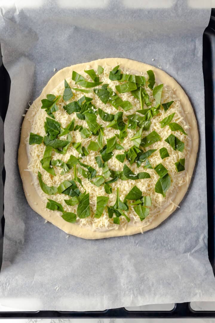 Overhead view of unbaked Alfredo sauce pizza on pan after adding spinach