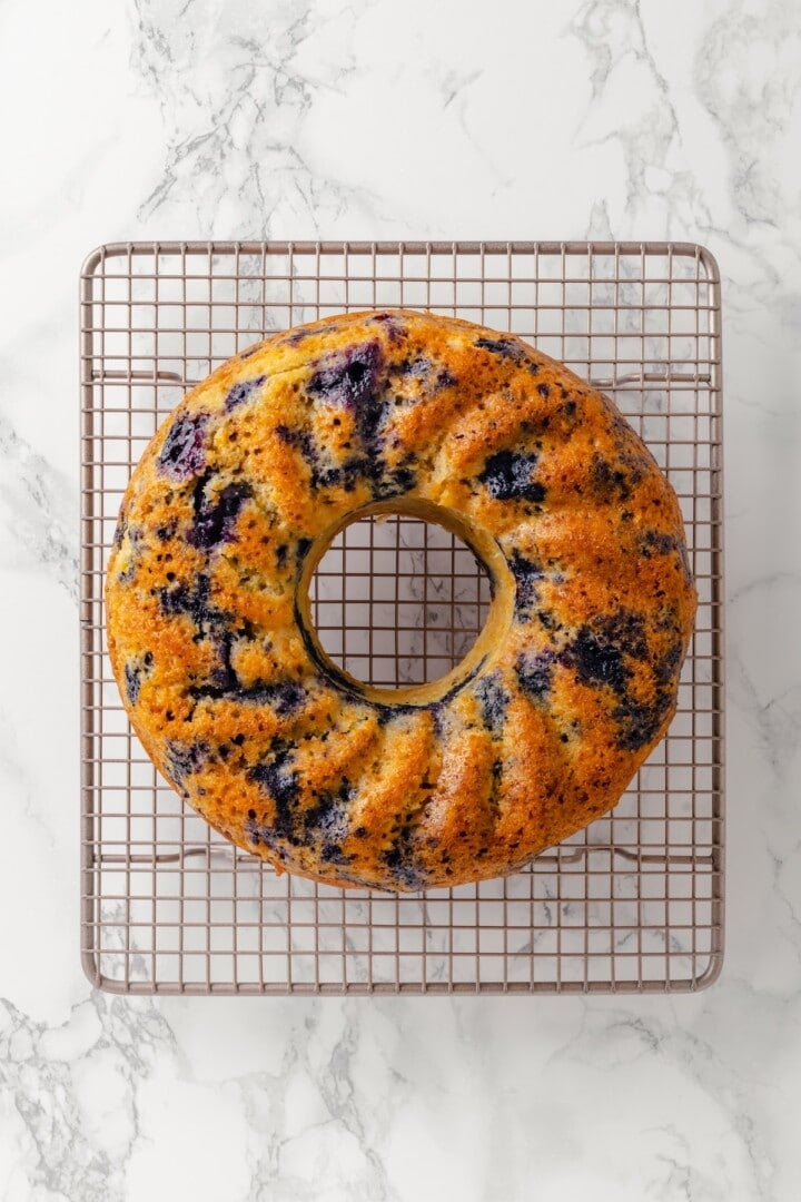 Overhead view of lemon blueberry Bundt cake before adding glaze