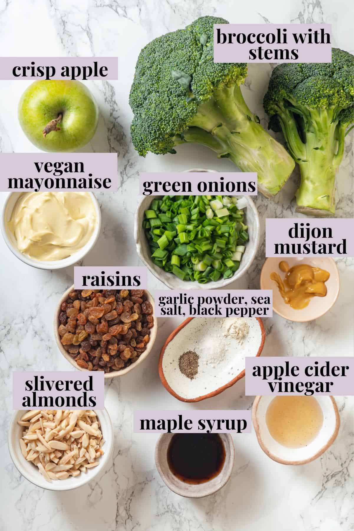 Overhead view of ingredients for broccoli slaw