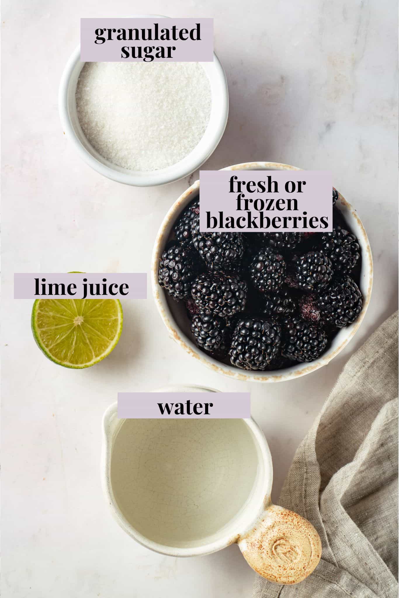 Overhead view of ingredients for blackberry syrup