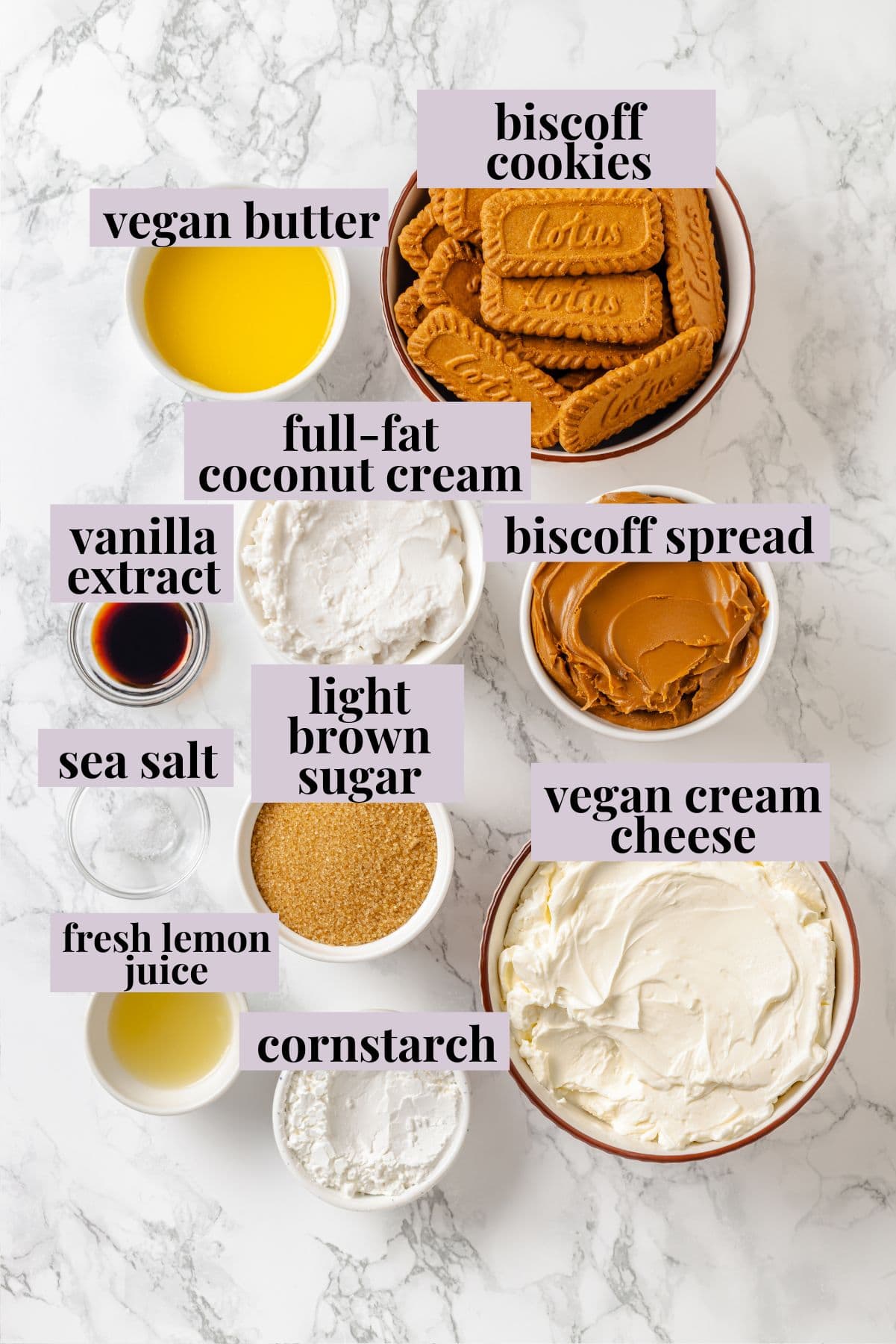 Overhead view of ingredients for Biscoff cheesecake.