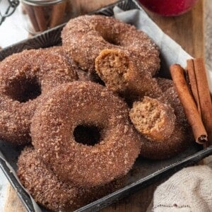 Plate of vegan apple cider donuts.
