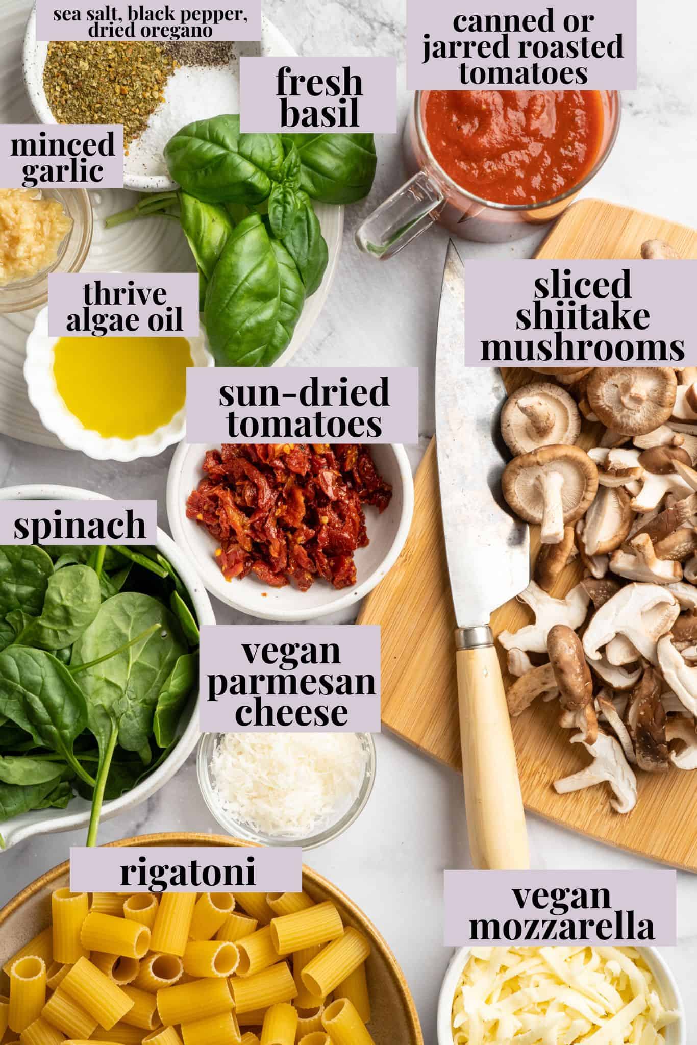 Saucy and loaded with veggies, this vegan cheesy pasta bake is topped with bubbly, melty vegan cheese. It's the ideal weeknight comfort food. Labeled ingredients for cheesy vegan pasta bake.