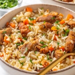 A bowl full of vegan chicken and rice.