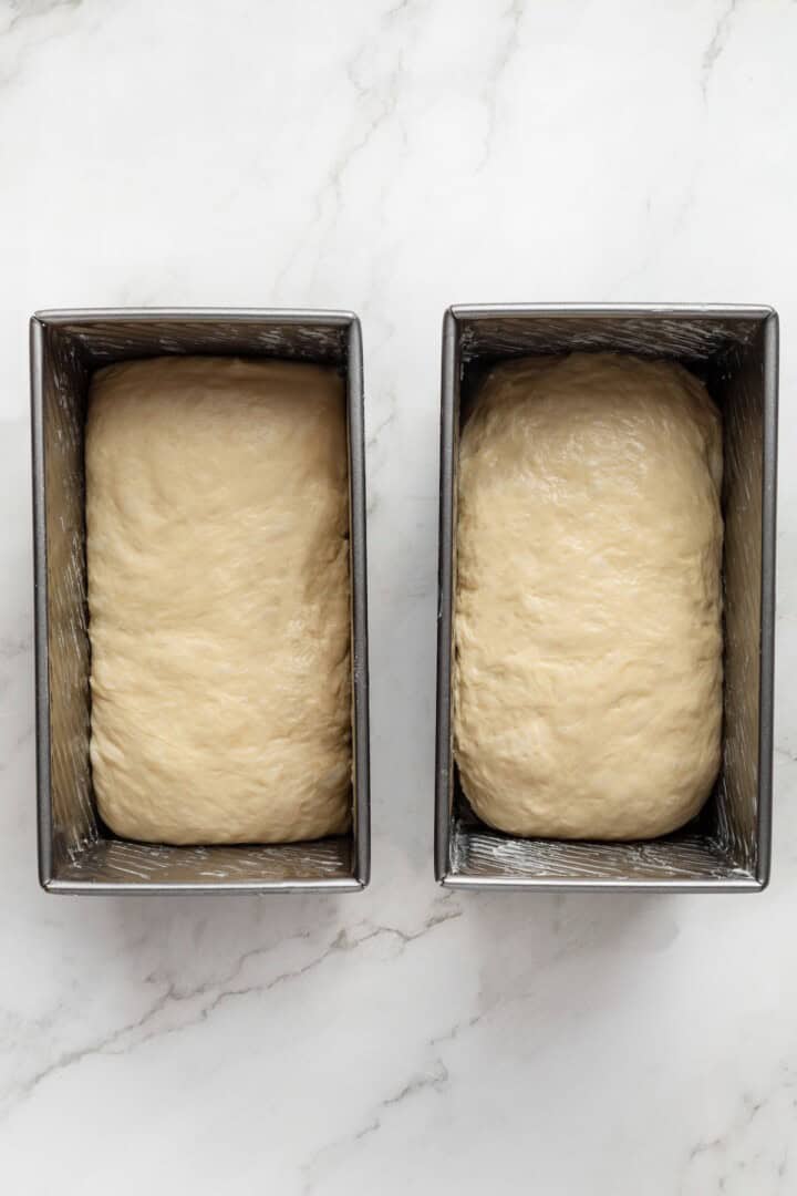 This easy vegan Sandwich Bread Recipe is a home baker's dream. Soft and pillowy with a subtle richness, it's a major upgrade to any sandwich. Logs of bread dough placed in oiled loaf pans before the second rise.