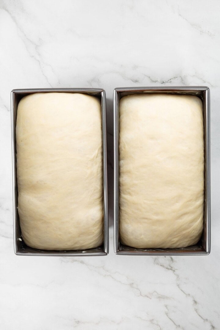 This easy vegan Sandwich Bread Recipe is a home baker's dream. Soft and pillowy with a subtle richness, it's a major upgrade to any sandwich. Two pans full of bread dough after the second rise.