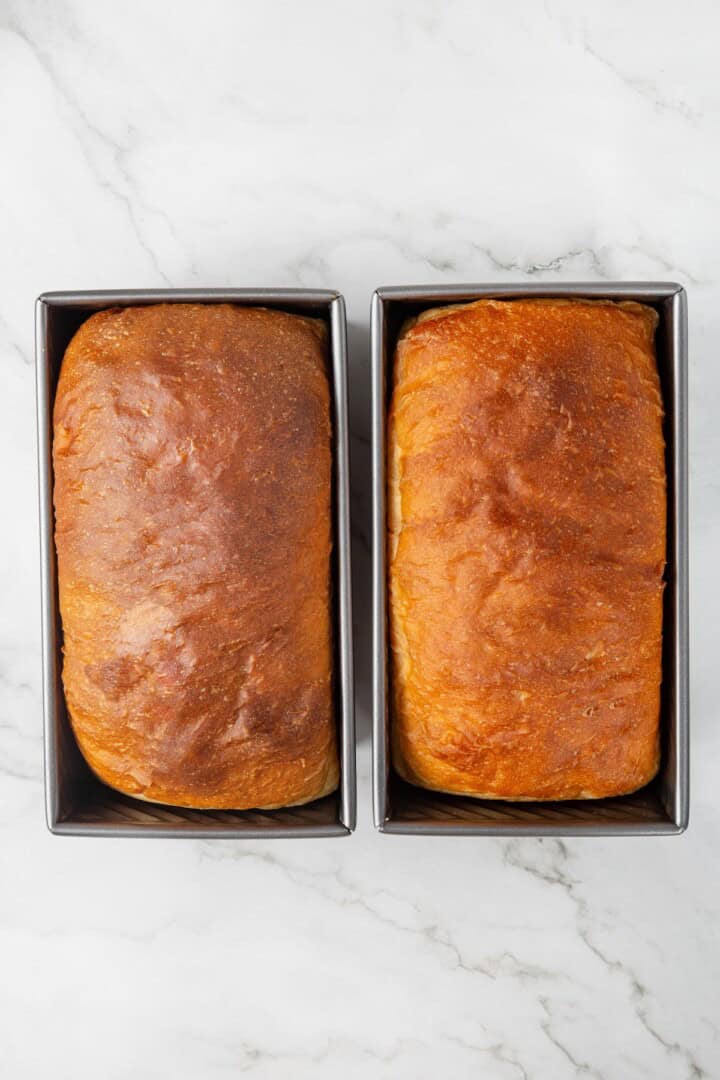 This easy vegan Sandwich Bread Recipe is a home baker's dream. Soft and pillowy with a subtle richness, it's a major upgrade to any sandwich. Two loaves of sandwich bread cooling in their pans.
