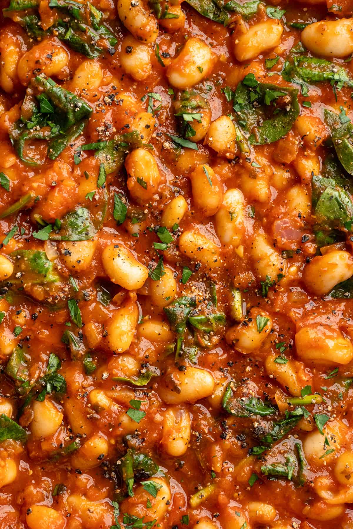 These 30-minute smoky white beans in tomato sauce are made with liquid smoke and plenty of garlic. They're amazing on toast for breakfast! Close-up image of smoky white beans in tomato sauce.