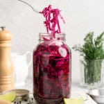 A fork lifting some pickled red cabbage from a jar.