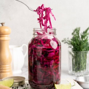 A fork lifting some pickled red cabbage from a jar.