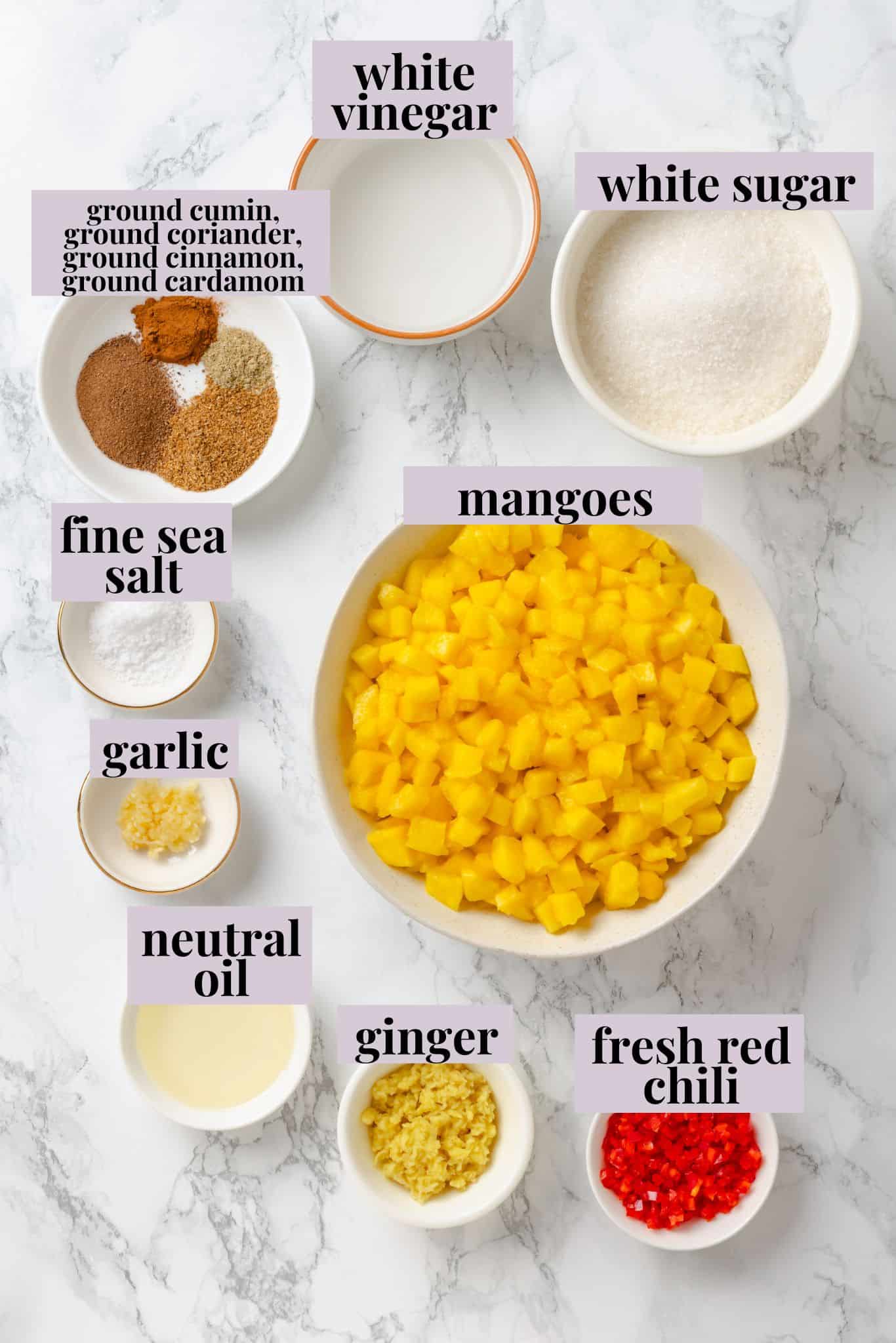 Sweet, savoury, and just a little spicy, this smooth, chunky mango chutney marries traditional Jamaican and Indian flavours beautifully. Labeled ingredients for mango chutney recipe.