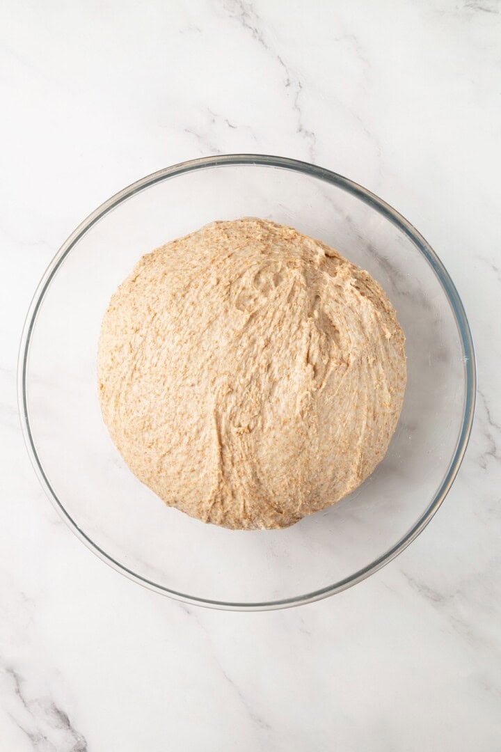 Looking for the perfect slice to build your PB&J or avocado toast on? This soft, tender whole grain sandwich bread is for you. Whole grain bread dough in an oiled bowl.
