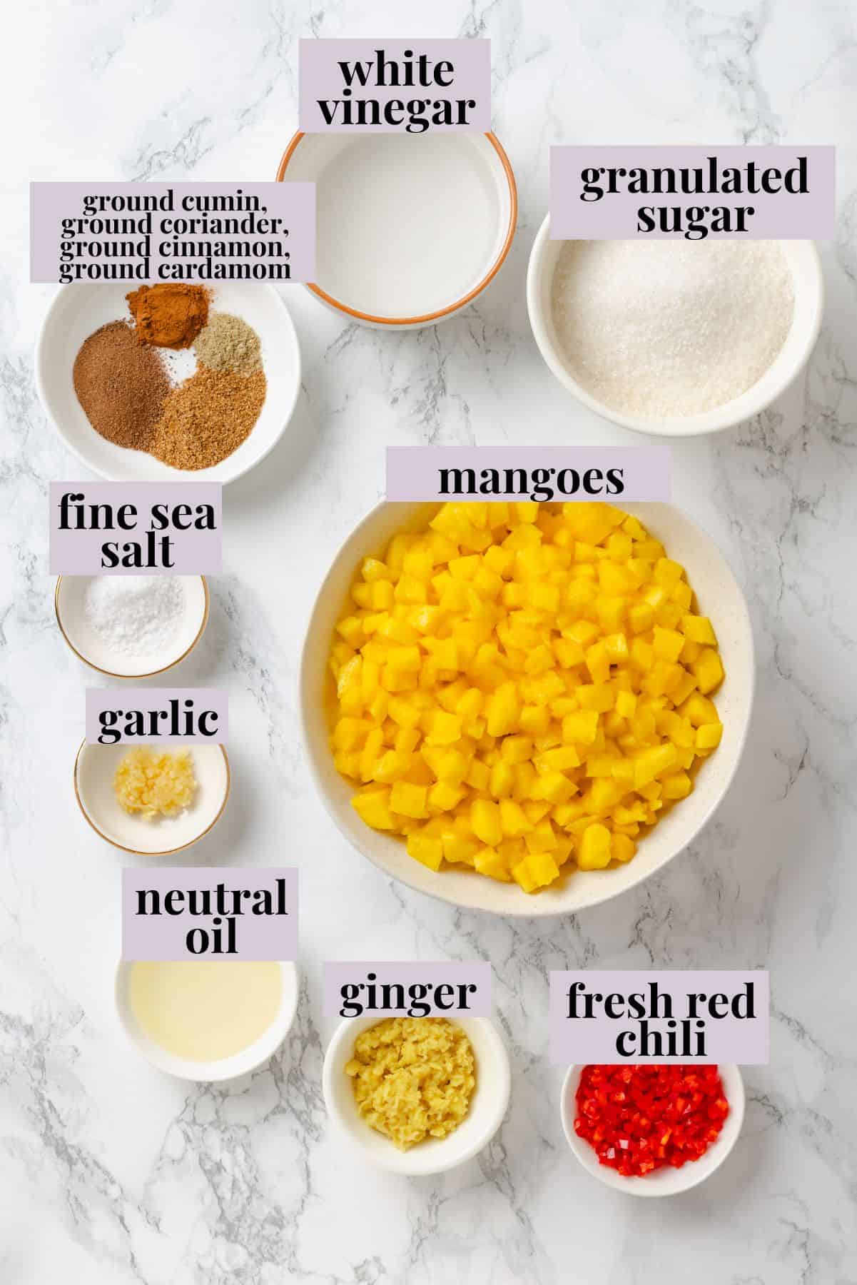 Sweet, savoury, and just a little spicy, this smooth, chunky mango chutney marries traditional Jamaican and Indian flavours beautifully. Ingredients for Mango Chutney.