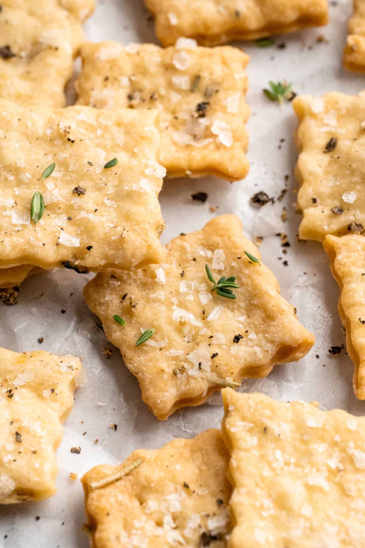 What to do with that sourdough discard? These easy sourdough discard crackers are crunchy, crispy, and flaky, with that best sourdough tang. Close up image of sourdough discard crackers with flaky sea salt.