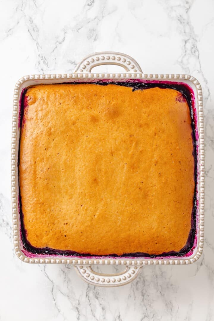 Overhead image of vegan blueberry cobbler cooling in a baking dish.