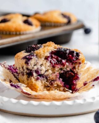 The Best Vegan Blueberry Muffins! 🫐🫐🫐 They are perfectly moist, fluffy, and sweet – in other words, everything a muffin should be! 😍 These homemade blueberry muffins are a recipe I love to make every year when Springtime comes around 🥰🌼
⠀⠀⠀⠀⠀⠀⠀⠀⠀
Full recipe on the blog! https://jessicainthekitchen.com/the-best-vegan-blueberry-muffins/ 
⠀⠀⠀⠀⠀⠀⠀⠀⠀
#vegan #veganaf #veganfood #plantbased #foodie #dairyfree #veganmeals #bestofvegan #easyrecipes  #vegancommunity #veganfood #whatveganseat #veganrecipes #healthyrecipes #comfortfood #vegancomfortfood #easyveganrecipe #govegan #vegandessert #veganbaking #veganmuffins #veganblueberrymuffins